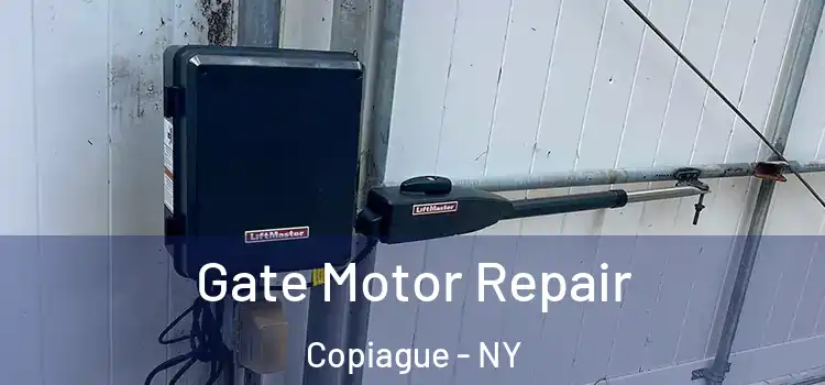 Gate Motor Repair Copiague - NY